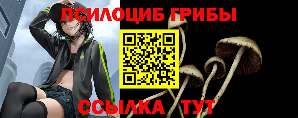 Галлюциногенные грибы Cubensis Избербаш